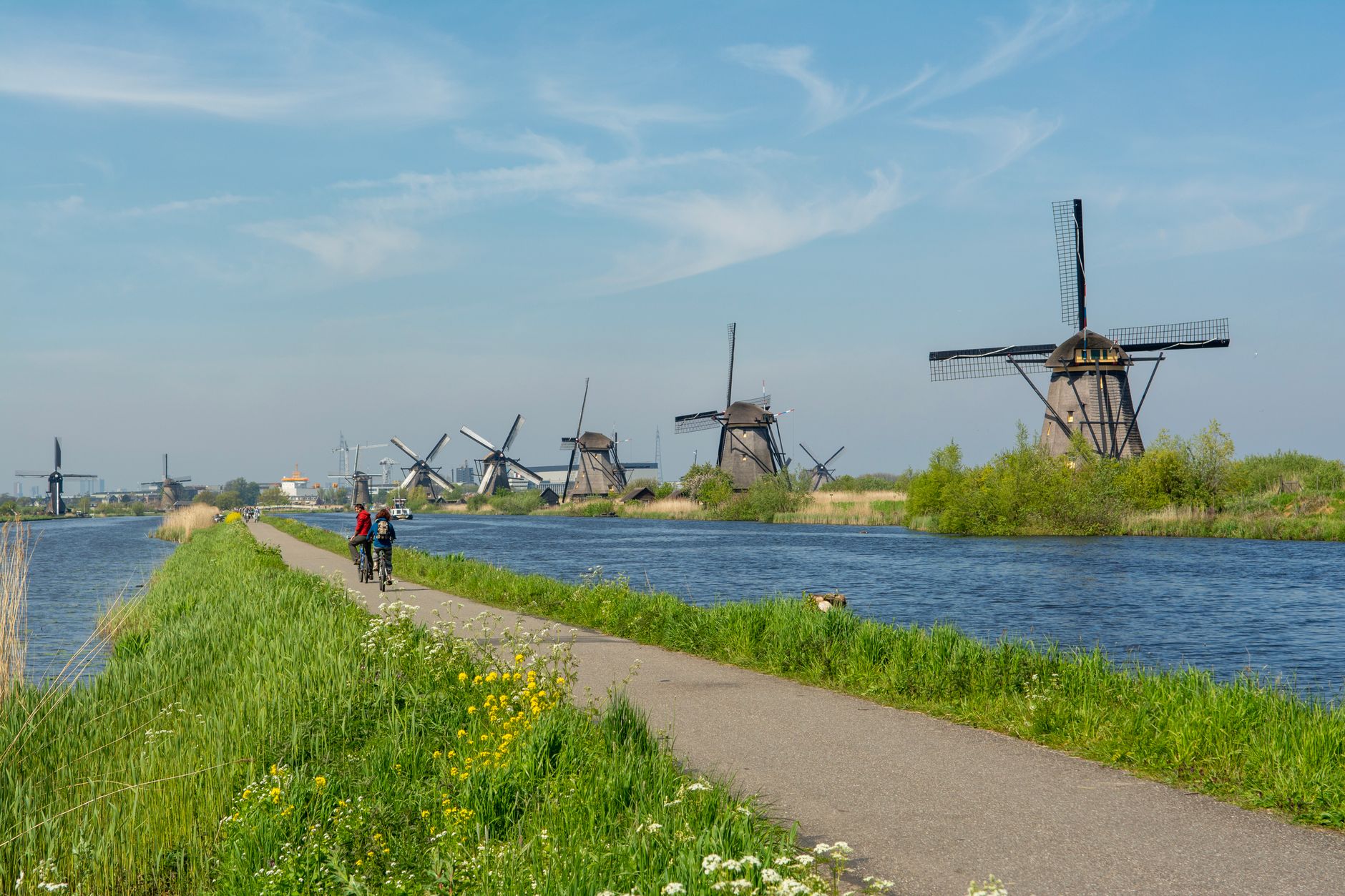 Letni dzień w Kinderdijk, rowerzyści nad kanałem i wiatraki